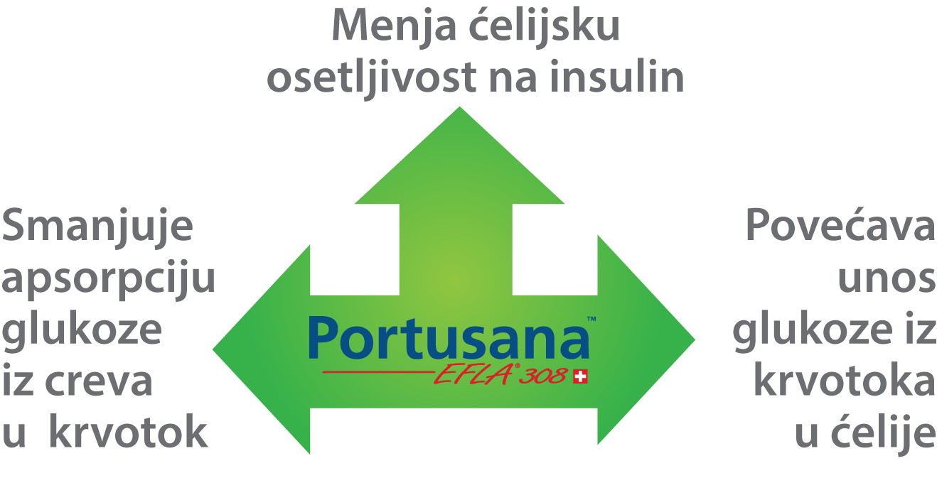 portusana-arrows